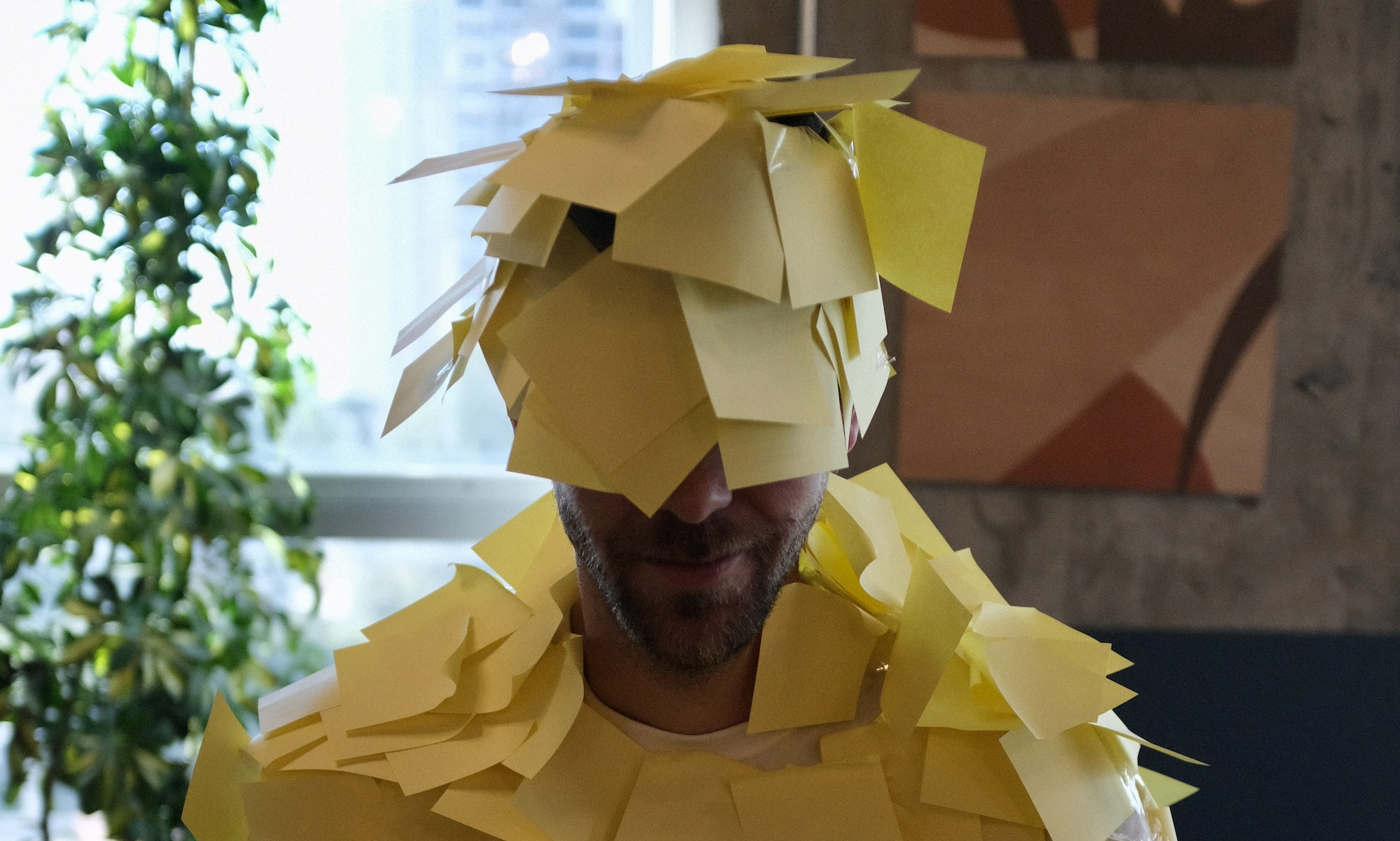 Por que você perde tempo com Daily?